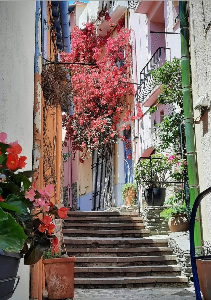 Studio Collioure Mouret المظهر الخارجي الصورة